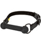CalExotics - Boundless Bar Gag