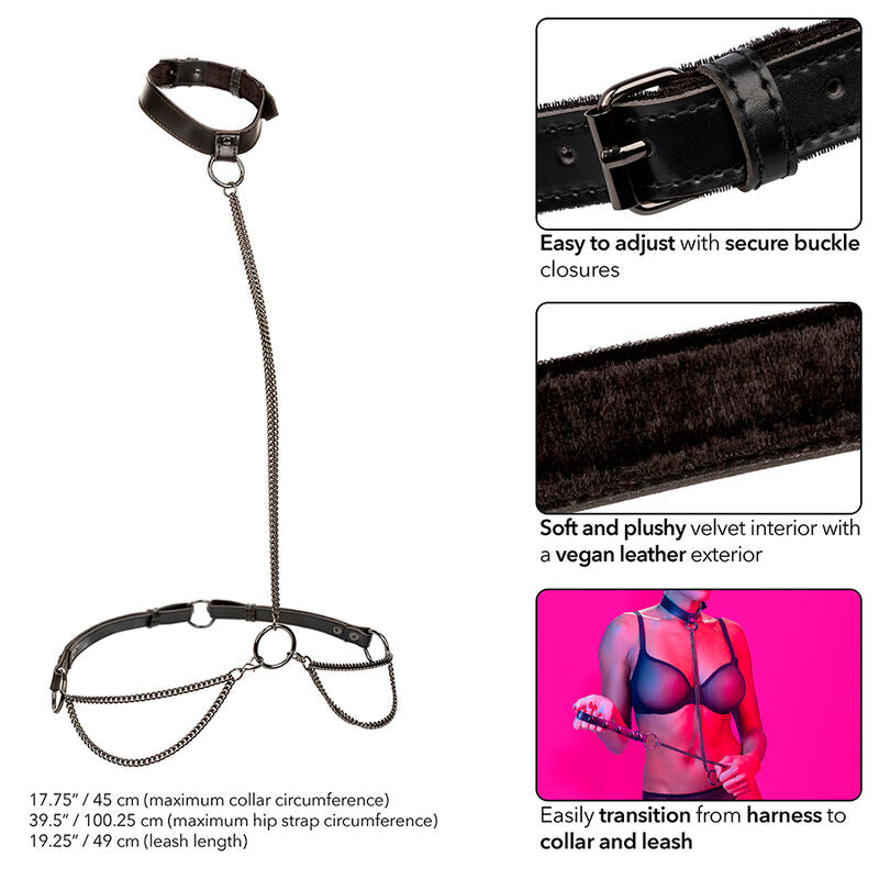 CalExotics - Euphoria Chain Halter Collar & Leash