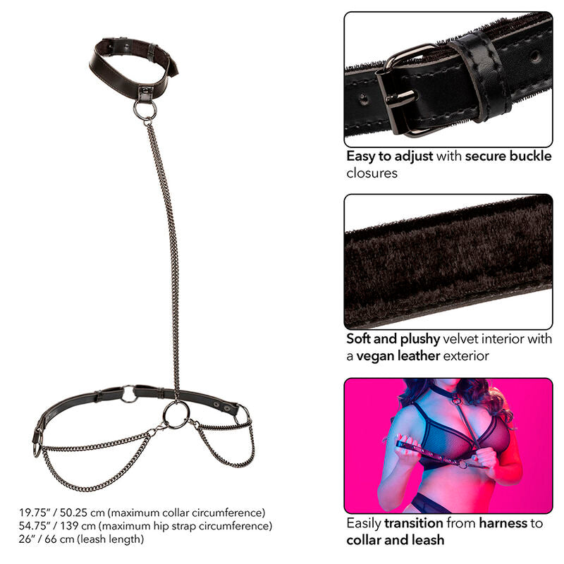 CalExotics - Euphoria Halter Halsband En Lijn Met Ketting Plus Maat