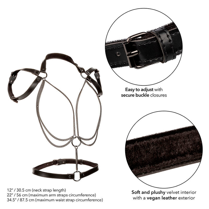 CalExotics - Euphoria Premium Multi-Chain Halt Stijl Harnas